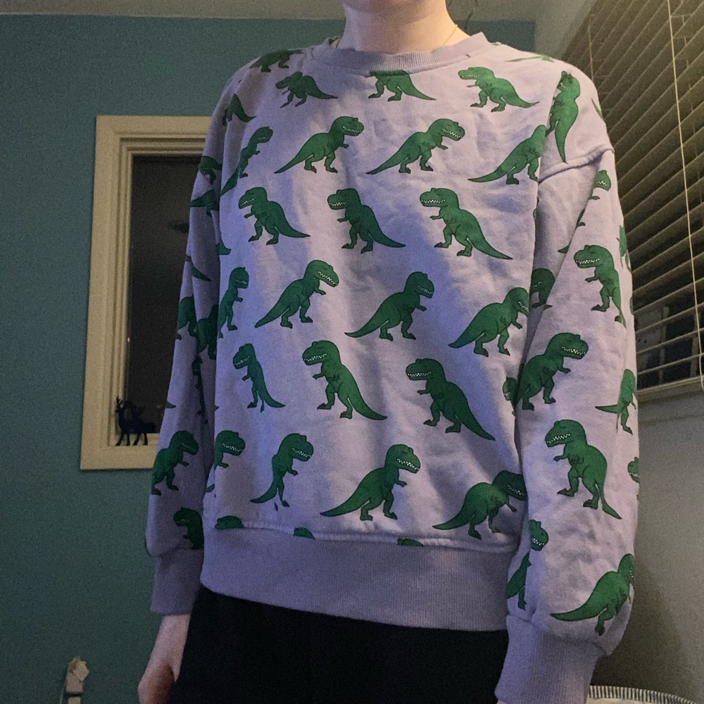 Small Purple Sweater with Dinosaur Pattern from Forever 21